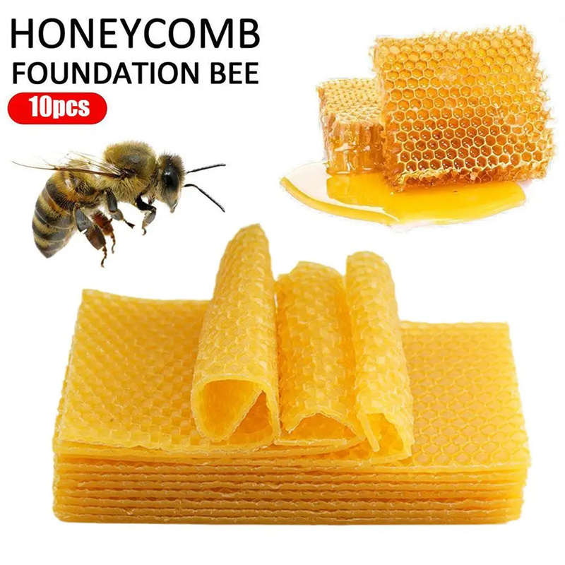 10/20Pcs Natural Beeswax Sheet - Candle Supplies Beeswax 评论和价格