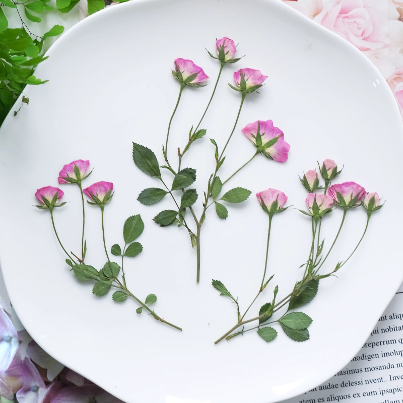 12pcs,Mini Pink Rose Pressed F - Candle Supplies In 评论和价格