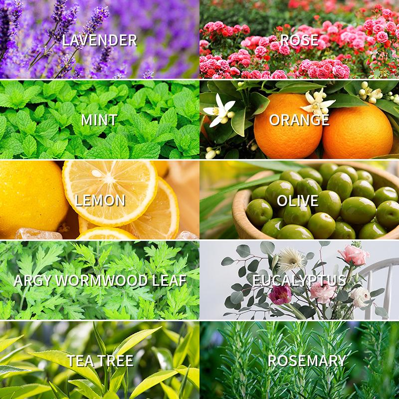 Aromatherapy Essential Oil 10m - Fragrance Oil 10Ml 评论和价格